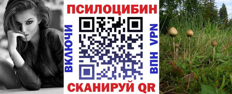 Псилоцибиновые грибы MAGIC MUSHROOMS  цена   блэк спрут   Красноармейск 