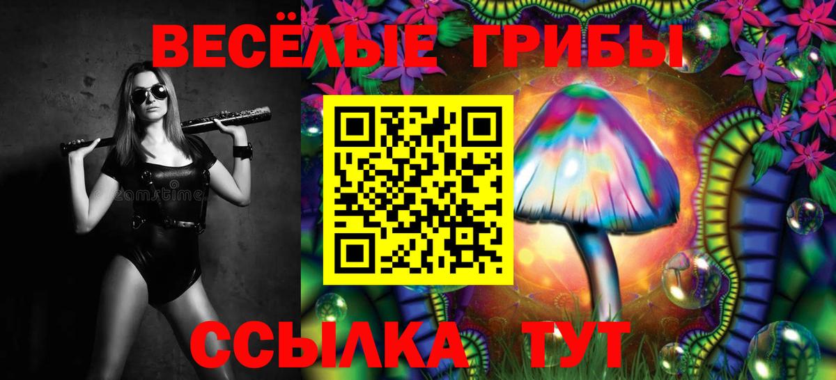 Галлюциногенные грибы прущие грибы  Вход с VPN  дарнет шоп  Красноармейск 