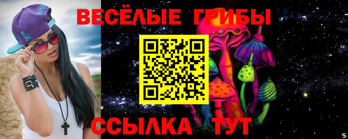 Псилоцибиновые грибы Psilocybe Красноармейск